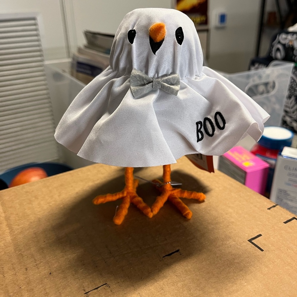 Decorative Fabric Bird (Hyde and Eek) Halloween 2023